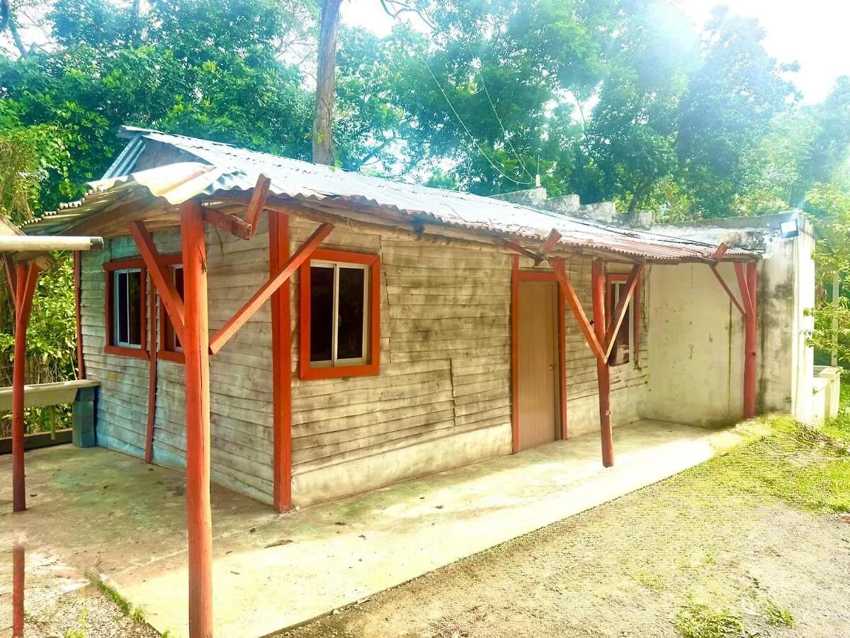 Double P Ranch 20 Guests, Bbq And Pool Buggy Rental Pedro Brand ドミニカ共和国